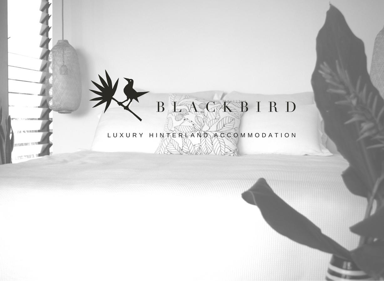 Blackbird Luxury Accommodation Mullumbimby Esterno foto